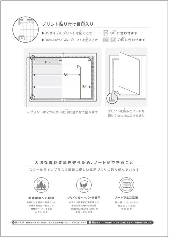 キョクトウ スクールラインプラス A4 Pノート5mm方眼罫A4 30枚 LAPP5B 1冊(ご注文単位1冊)【直送品】