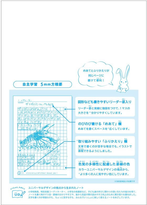 キョクトウ カレッジみんなの学習 自主学習 5mm方眼R 30枚 1冊(ご注文単位1冊)【直送品】