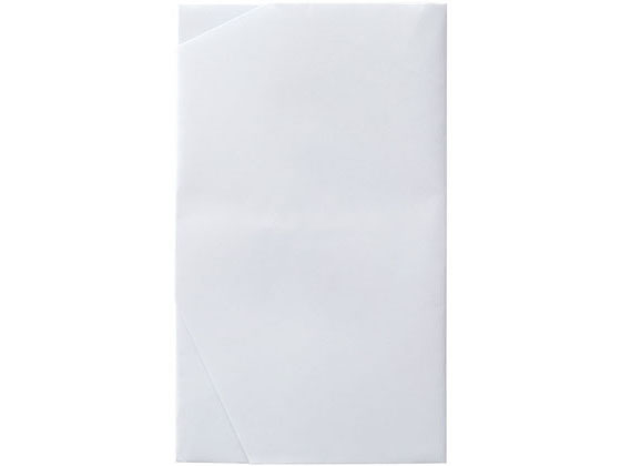 ミドリ 金封423 大金封 結婚祝 25423006 1袋（ご注文単位1袋）【直送品】