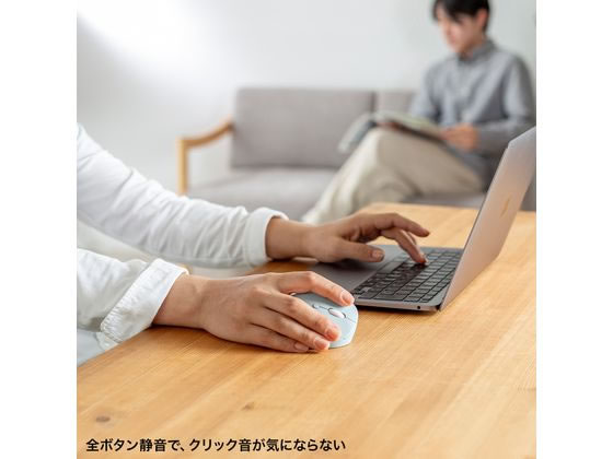 サンワサプライ 静音ワイヤレス小型エルゴノミクスマウス MA-EWBS522BL 1個（ご注文単位1個）【直送品】