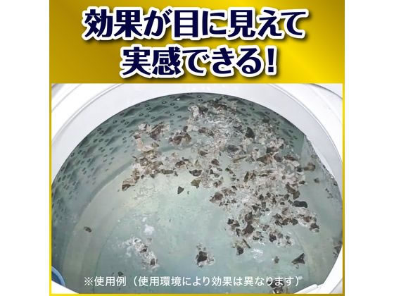 ジョンソン ガッツリ剥がす 洗たく槽カビキラー 250g 1個（ご注文単位1個）【直送品】