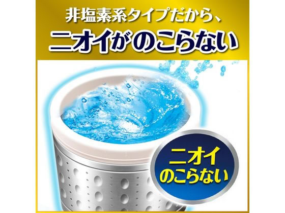 ジョンソン ガッツリ剥がす 洗たく槽カビキラー 250g 1個（ご注文単位1個）【直送品】