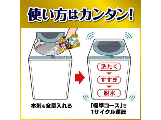 ジョンソン ガッツリ剥がす 洗たく槽カビキラー 250g 1個（ご注文単位1個）【直送品】