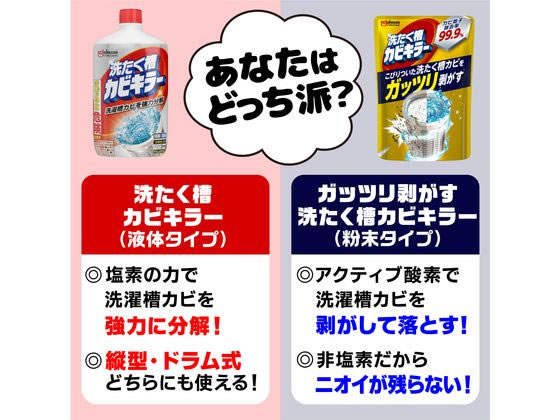 ジョンソン ガッツリ剥がす 洗たく槽カビキラー 250g 1個（ご注文単位1個）【直送品】