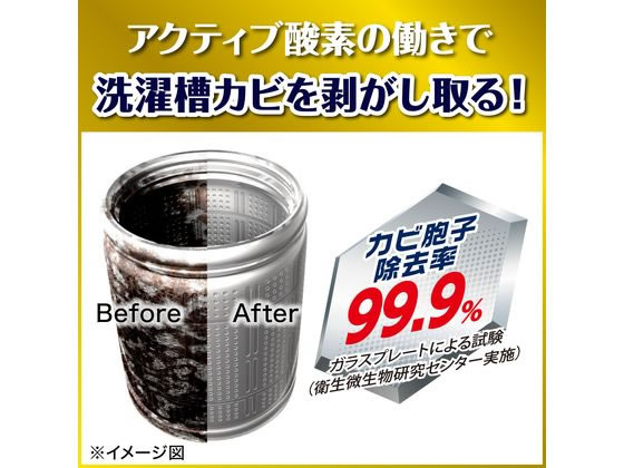 ジョンソン ガッツリ剥がす 洗たく槽カビキラー 250g×24個 1箱（ご注文単位1箱）【直送品】