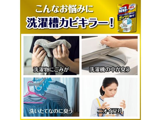 ジョンソン ガッツリ剥がす 洗たく槽カビキラー 250g×24個 1箱（ご注文単位1箱）【直送品】