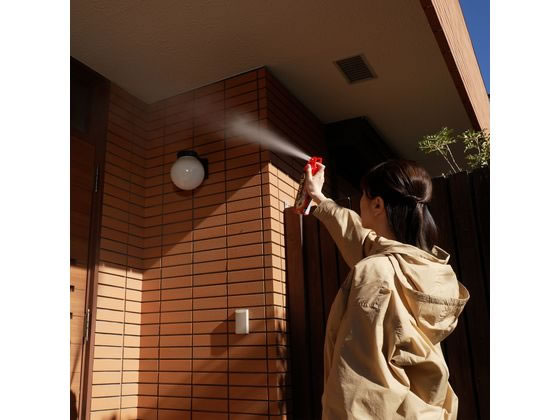 フマキラー ハチ・アブダブルジェット 450mL 2本パック 1パック(ご注文単位1パック)【直送品】