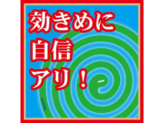 金鳥 金鳥の渦巻 大型 紙函 40巻 1個(ご注文単位1個)【直送品】