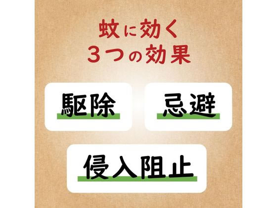金鳥 天然除虫菊 金鳥の渦巻 10巻 1個(ご注文単位1個)【直送品】