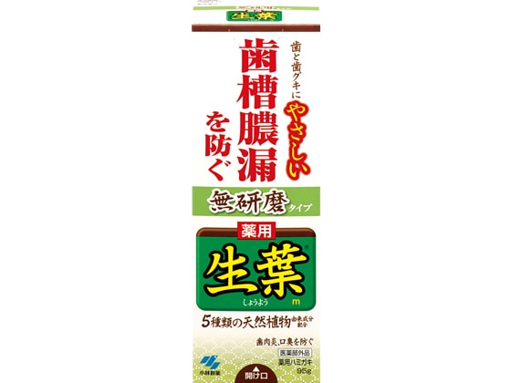 小林製薬 生葉無研磨タイプ 95g 1本（ご注文単位1本）【直送品】