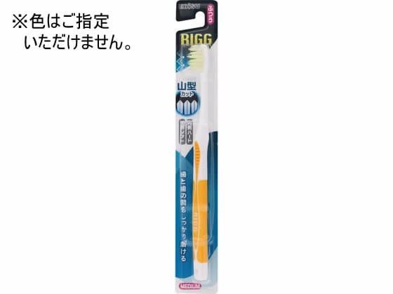 エビス リグ山型ハブラシ ふつう 1本（ご注文単位1本）【直送品】