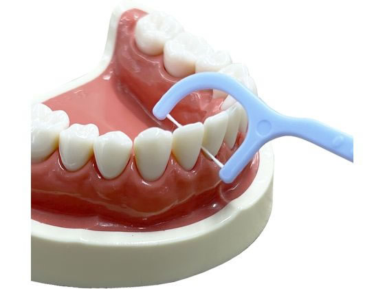 エビス まいにちフロス 120本入 1パック(ご注文単位1パック)【直送品】