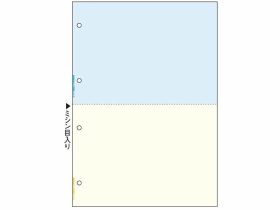 ヒサゴ マルチプリンタ帳票A4カラー2面 4穴 1200枚 FSC2011Z 1箱(ご注文単位1箱)【直送品】