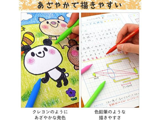 サクラクレパス クーピーペンシル12色(ソフトケース入り) 5個 FY12-R1 1袋（ご注文単位1袋）【直送品】