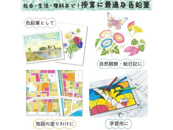 サクラ クーピーペンシル 24色セット(ソフトケース入) 20個 FY24R1 1箱(ご注文単位1箱)【直送品】
