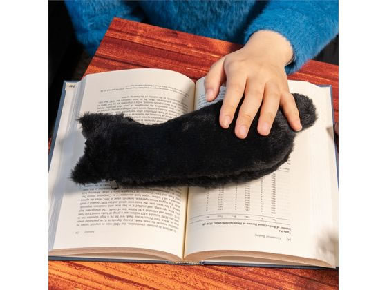 ナカバヤシ ねこのせ マルチポーチM 白ペルシャ NNS-MP02WH 1個(ご注文単位1個)【直送品】