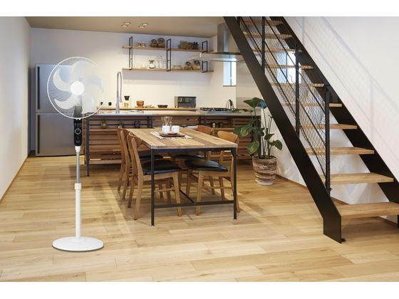 アピックス ACフロアー扇風機 AFL-256R 1台(ご注文単位1台)【直送品】