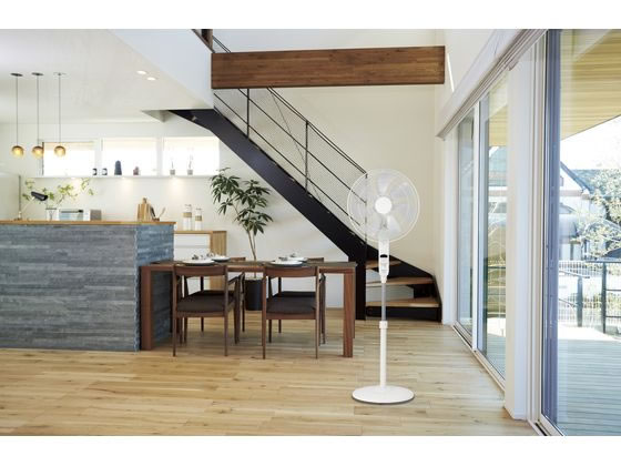 アピックス DCフロアー扇風機 AFL-286R 1台(ご注文単位1台)【直送品】