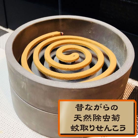 ライオンケミカル 昔ながらの除虫菊蚊取線香 30巻 1個(ご注文単位1個)【直送品】