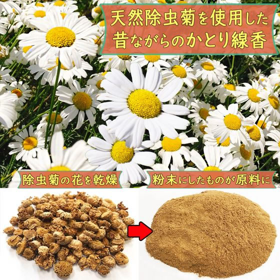 ライオンケミカル 昔ながらの除虫菊蚊取線香 30巻 1個(ご注文単位1個)【直送品】
