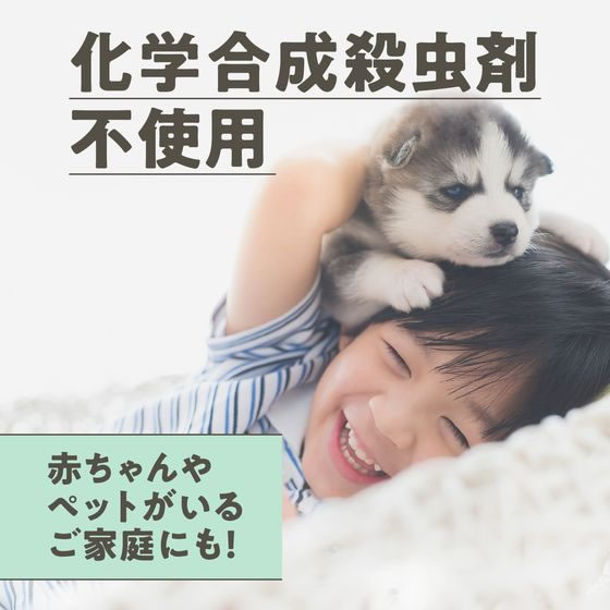 アース製薬 マモルームエッセンス 虫よけ吊るタイプ 8ヵ月用 ミントハーブ 1個(ご注文単位1個)【直送品】