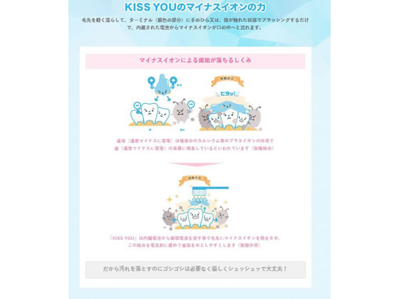 アイオニック キスユーフッ素イオン極レギュラー替えふつう2本 1パック(ご注文単位1パック)【直送品】