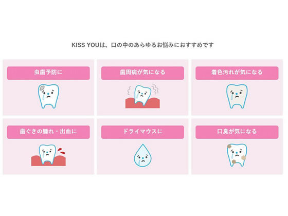 アイオニック キスユーフッ素イオン極レギュラー替えふつう2本 1パック(ご注文単位1パック)【直送品】