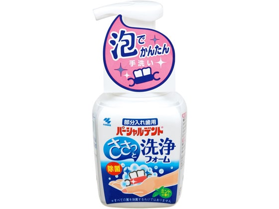 小林製薬 パーシャルデント 洗浄フォーム ミントの香り 250mL 1個(ご注文単位1個)【直送品】