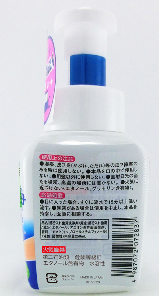 小林製薬 パーシャルデント 洗浄フォーム ミントの香り 250mL 1個(ご注文単位1個)【直送品】