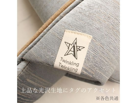 ストロング スリッパ 来客用 Twinkling ブルー M 75-1-003-02 1足(ご注文単位1足)【直送品】