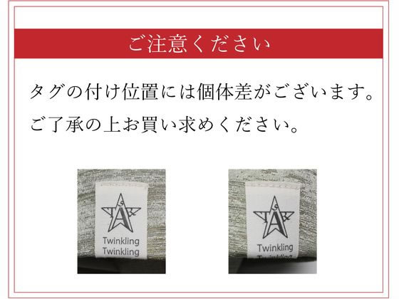 ストロング スリッパ 来客用 Twinkling ブルー M 75-1-003-02 1足(ご注文単位1足)【直送品】