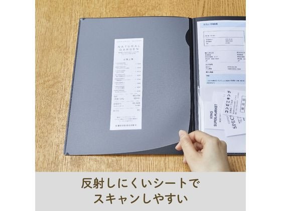 キングジム レシート 領収書スキャンホルダー A4 ベージュ 790-BE 1枚（ご注文単位1枚）【直送品】