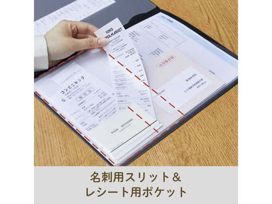 キングジム レシート 領収書スキャンホルダー A4 ベージュ 790-BE 1枚（ご注文単位1枚）【直送品】