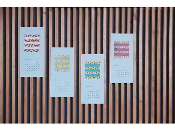 カモ井 まるいちきゅう 向日葵 MTMARU13 1巻（ご注文単位1巻）【直送品】