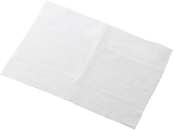 エレコム ウェットティッシュ 20枚 大判 厚手 アルコール WC-AG20LH 1個（ご注文単位1個）【直送品】