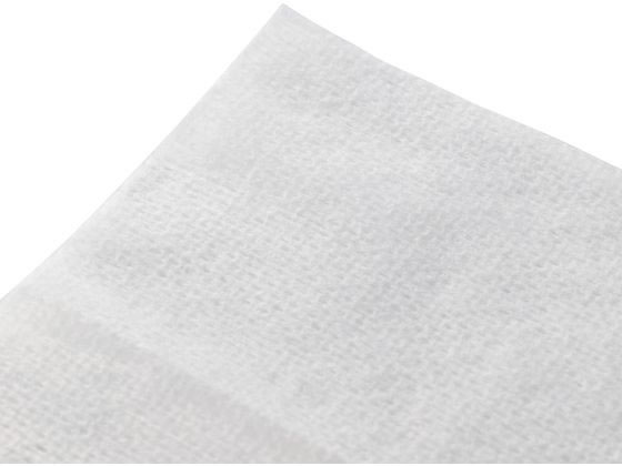 エレコム ウェットティッシュ 20枚 大判 厚手 アルコール WC-AG20LH 1個（ご注文単位1個）【直送品】