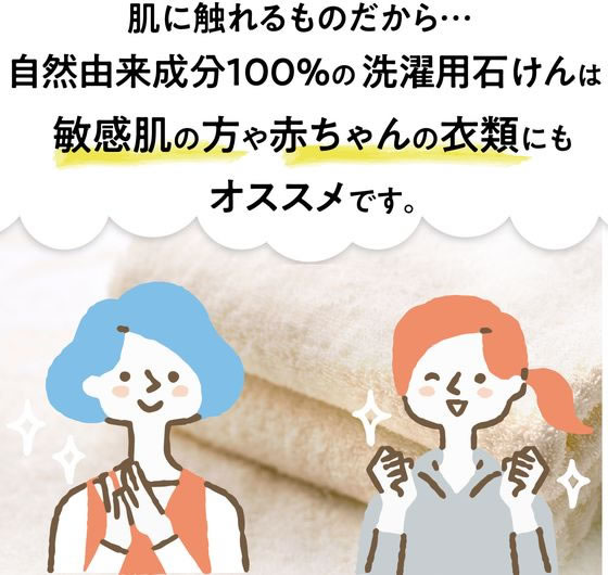 太陽油脂 パックス 洗濯用石けんWパワー 1個(ご注文単位1個)【直送品】