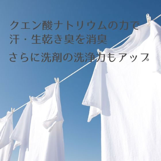 丹羽久 洗濯用 消臭クエン酸ナトリウム 300g 1個（ご注文単位1個）【直送品】
