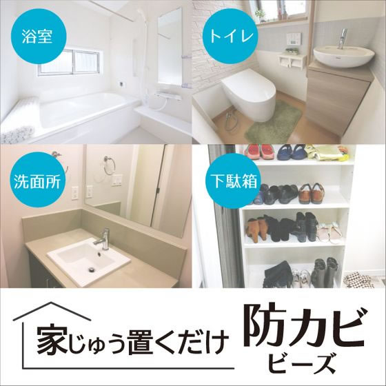 丹羽久 家じゅう置くだけ 防カビビーズ 130g 1個（ご注文単位1個）【直送品】