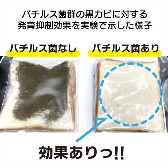 丹羽久 家じゅう置くだけ 防カビビーズ 130g 1個（ご注文単位1個）【直送品】