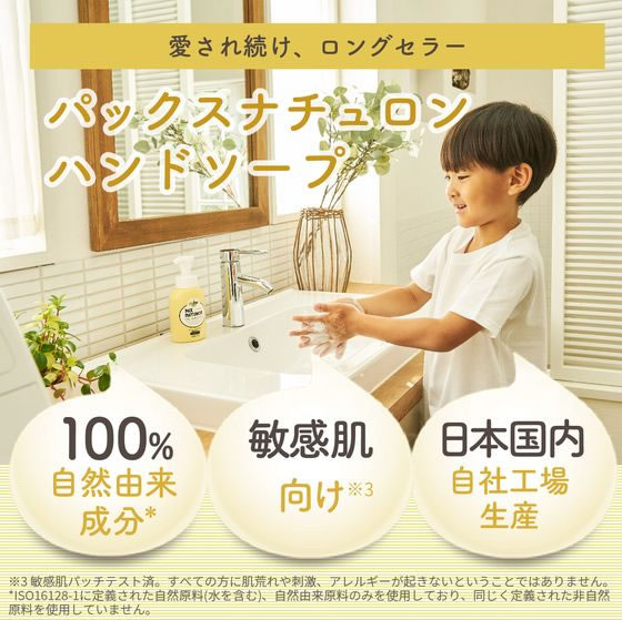 太陽油脂 パックスナチュロン ハンドソープ 詰替 450mL 1個(ご注文単位1個)【直送品】