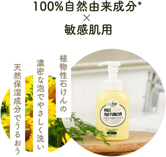太陽油脂 パックスナチュロン ハンドソープ 詰替 450mL 1個(ご注文単位1個)【直送品】