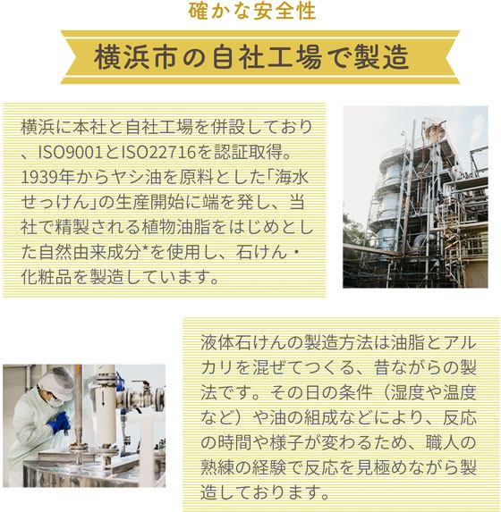 太陽油脂 パックスナチュロン ハンドソープ 詰替 450mL 1個(ご注文単位1個)【直送品】