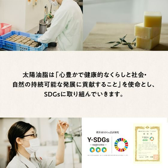 太陽油脂 パックスナチュロン ハンドソープ 詰替 450mL 1個(ご注文単位1個)【直送品】