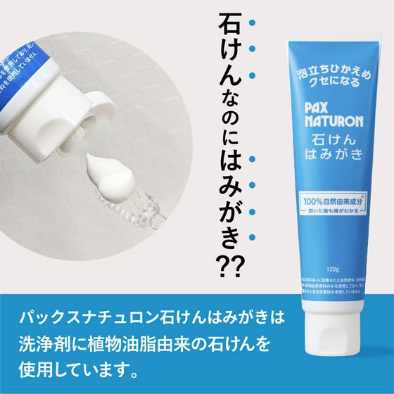 太陽油脂 パックスナチュロン 石けんはみがき 120g 1個(ご注文単位1個)【直送品】