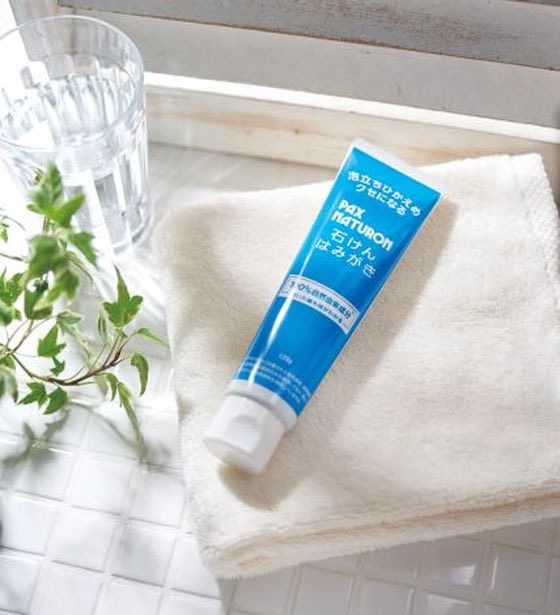 太陽油脂 パックスナチュロン 石けんはみがき 120g 1個(ご注文単位1個)【直送品】