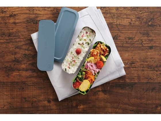 サーモス フレッシュランチボックス 635mL グレーネイビー DSA-605WGNV 1個(ご注文単位1個)【直送品】