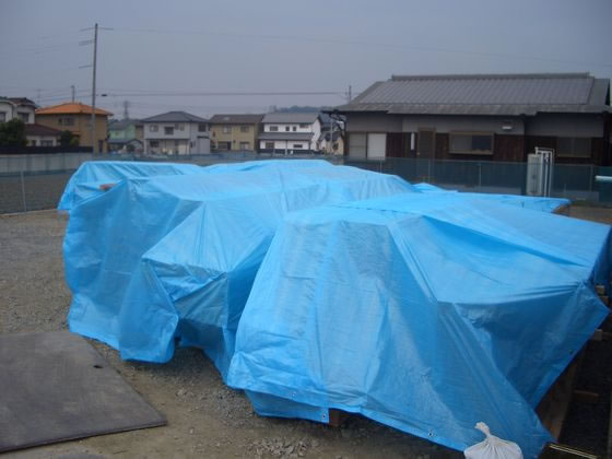 萩原工業 エコフレンドシート#3000 3.6m×5.4m TEF3654 1枚(ご注文単位1枚)【直送品】