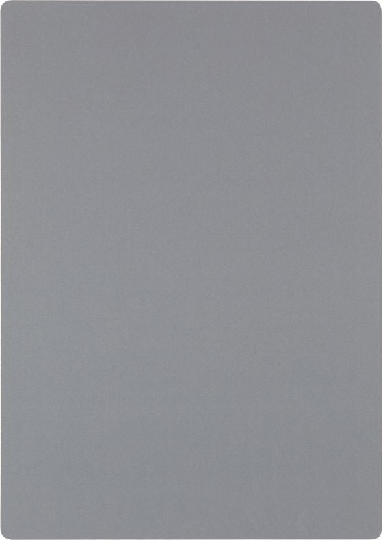 レイメイ 大人の魔法のザラザラ下じき B5 U1256N 1枚（ご注文単位1枚）【直送品】