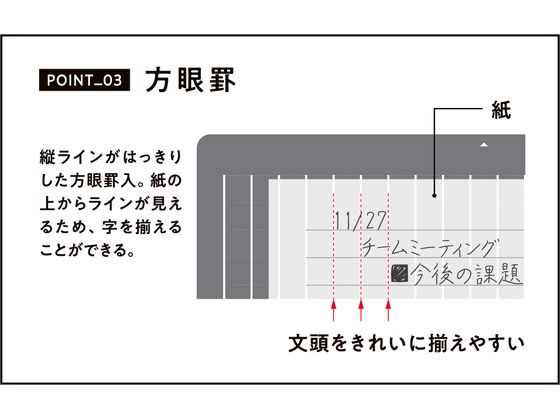 レイメイ 大人の魔法のザラザラ下じき B5 U1256N 1枚（ご注文単位1枚）【直送品】